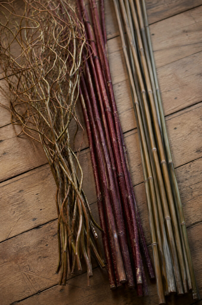 Curly willow branches straight red birch branches, and rivercane laid side by side for comparison