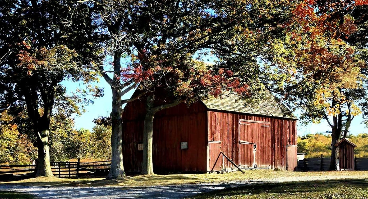 country themed wedding ideas