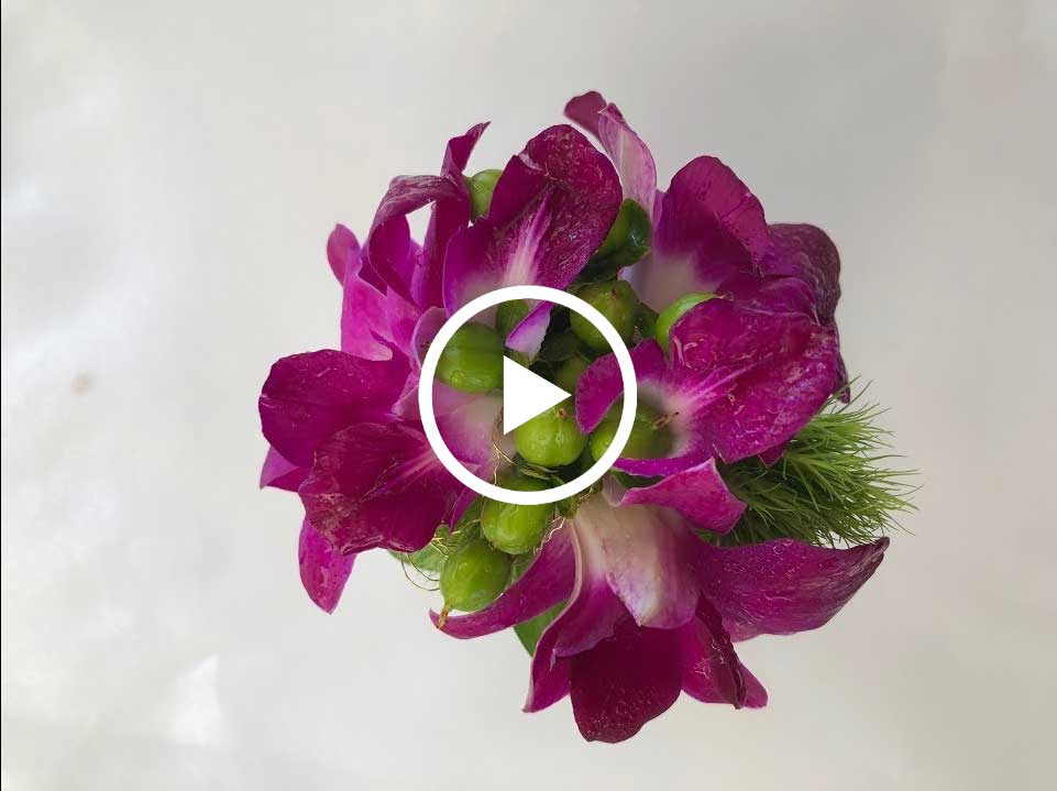 twisted wire wristlet