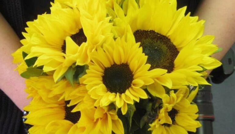 sunflower wedding bouquet fi