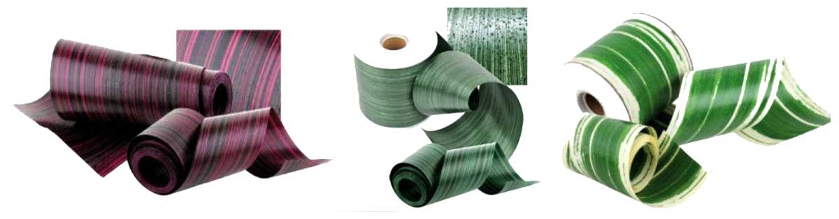 aspidritra ribbon