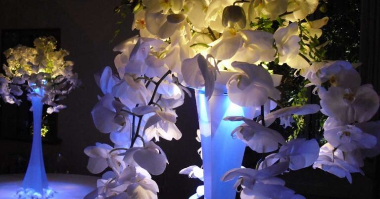 lighted centerpieces