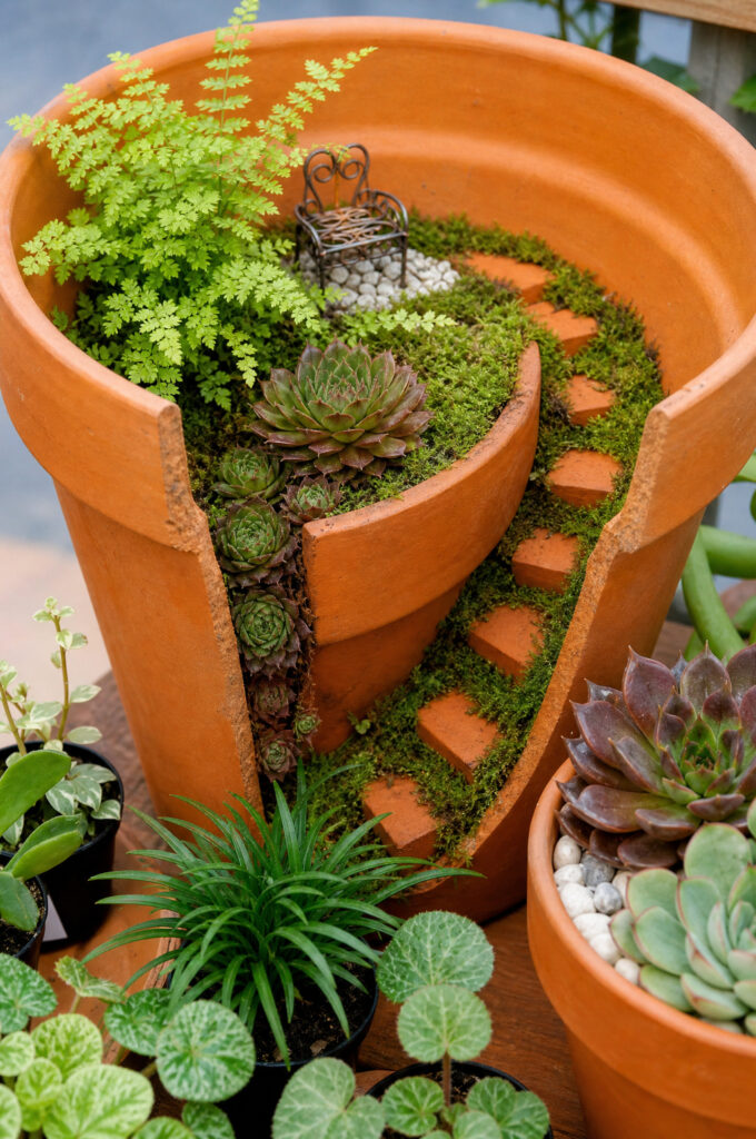 miniature garden clay pot