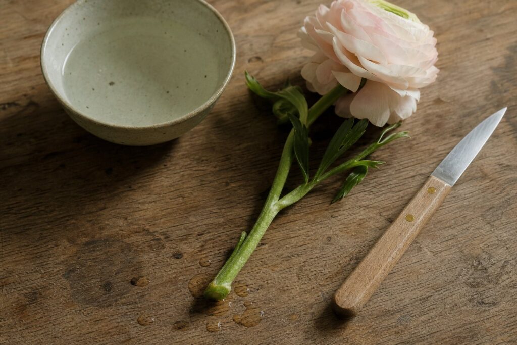 ranunculus mistakes