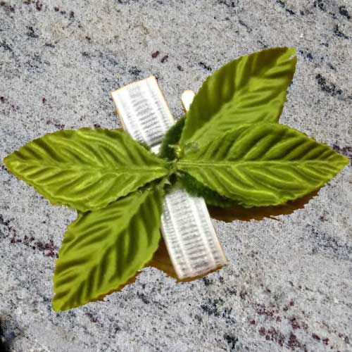 glued wrist corsage base