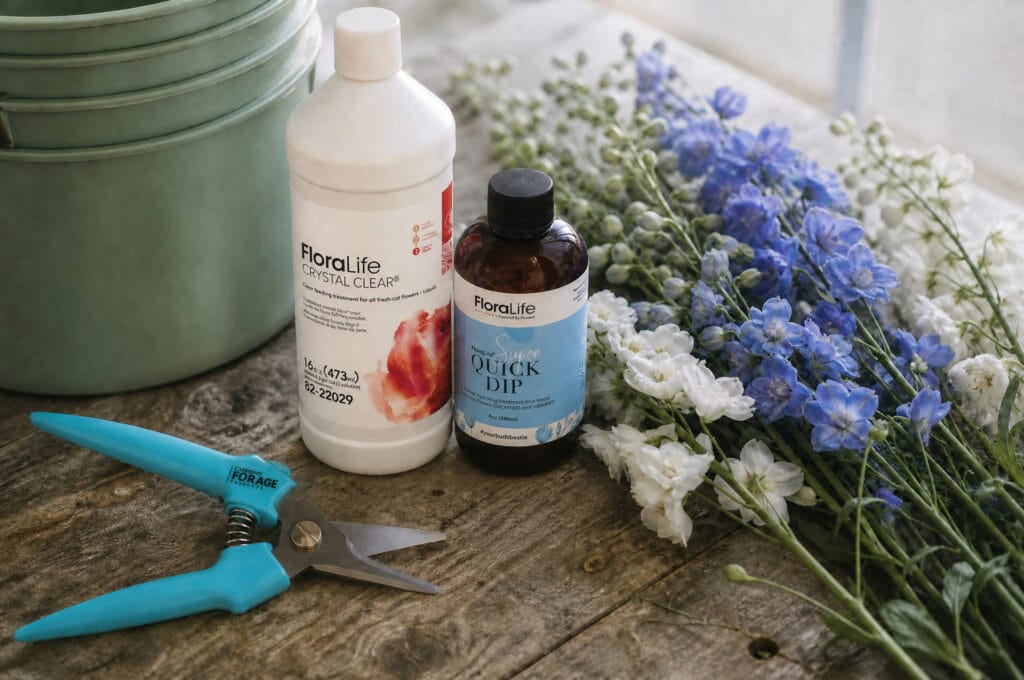Florist supplies for processing delphinium: flower food, quick dip, stem cutter, and plastic buckets