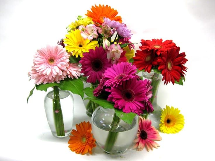 gerbera tablescape
