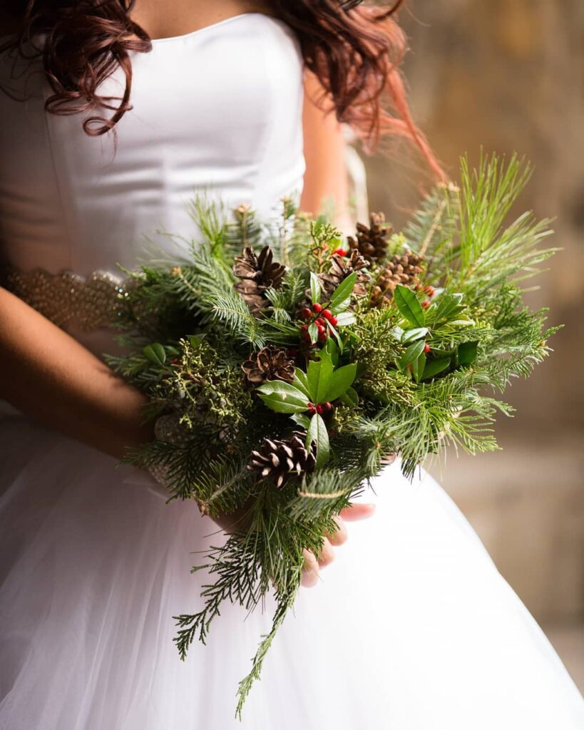 evergreen elegnace