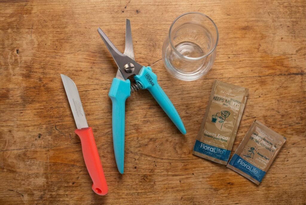 start with right tools