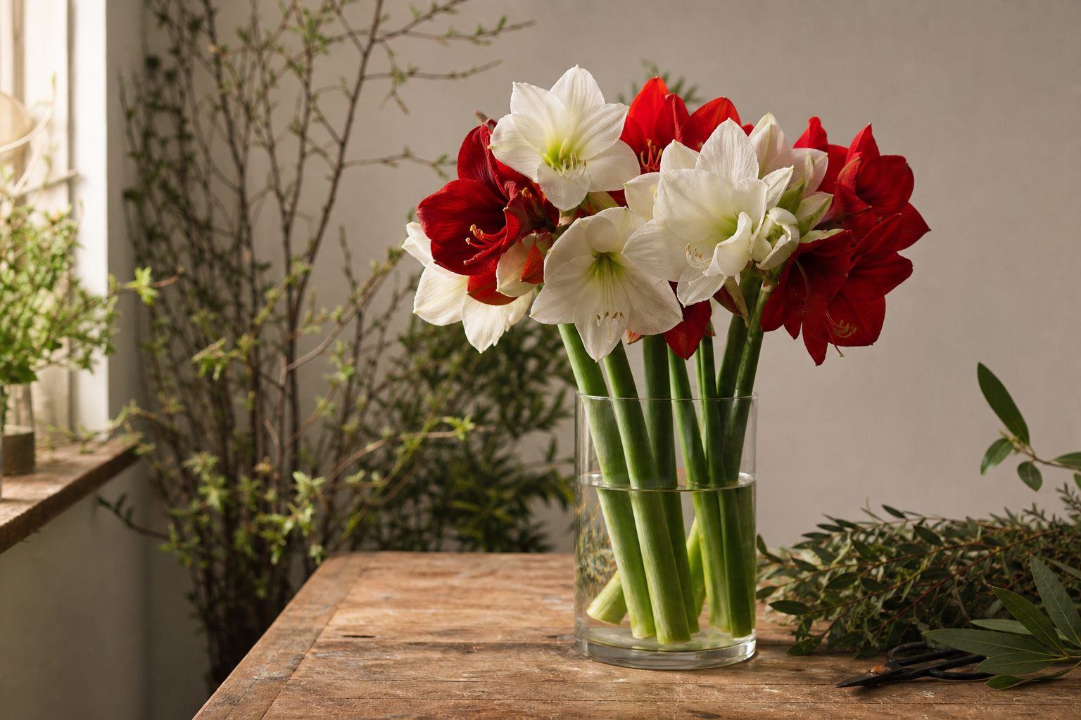 Red and white amaryllis cut flowers arranged in a clear glass vase on a florist's worktable