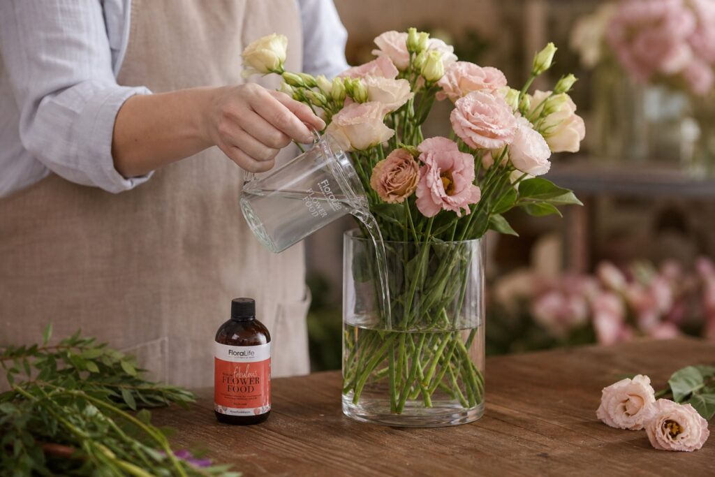 maintain lisianthus daily
