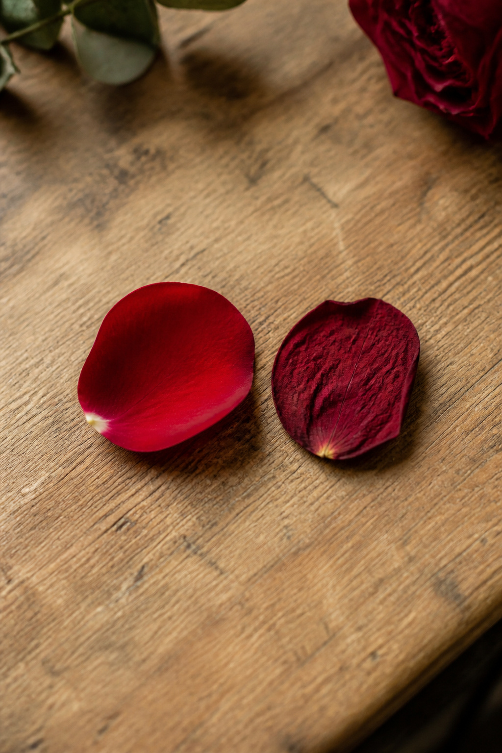 Side-by-side comparison of a fresh red rose petal and a freeze-dried red rose petal on a wooden surface