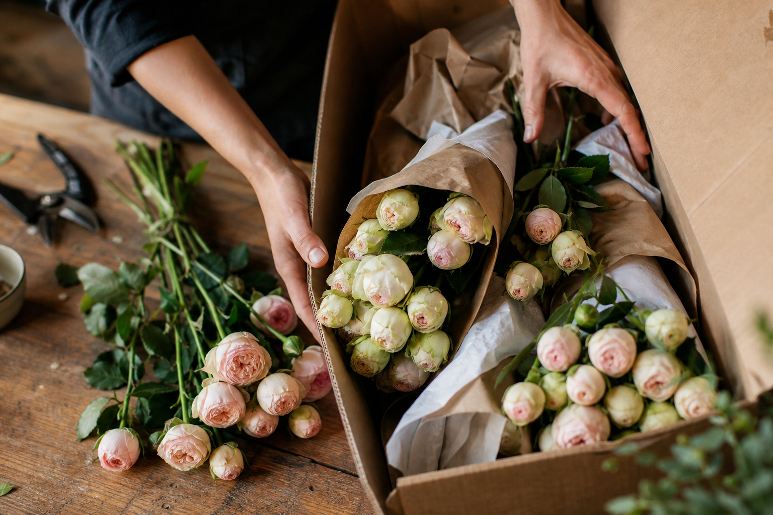 Freshly delivered garden rose stems unpacked from a shipping box on a workbench