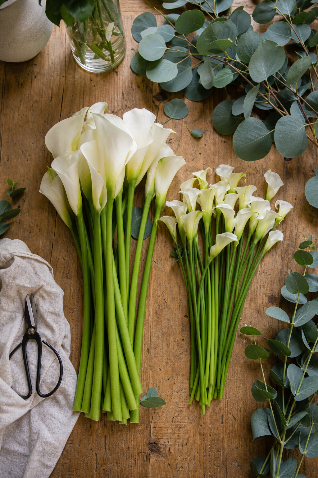Standard and mini calla lilies laid out on a florist worktable showing size comparison