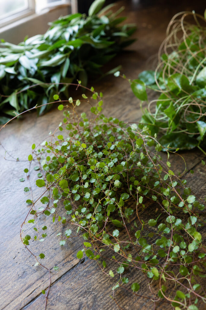 Muehlenbeckia wire vine stems on a florist's wooden worktable ready for bouquet assembly