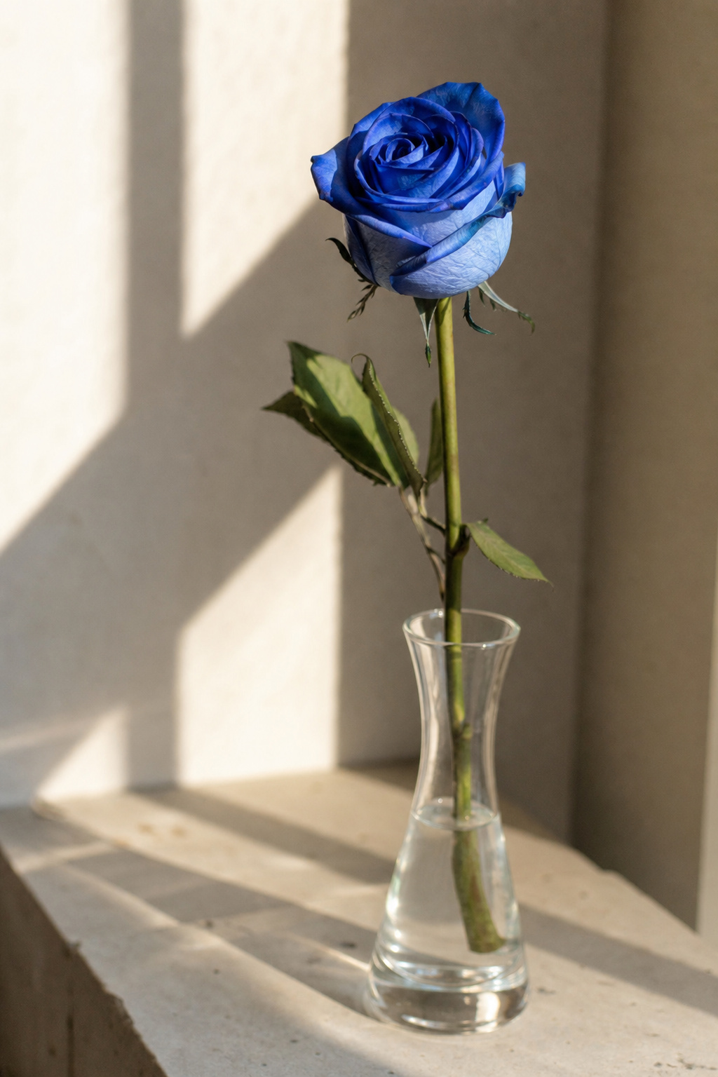 Single dramatic blue rose stem displayed alone in a slim bud vase