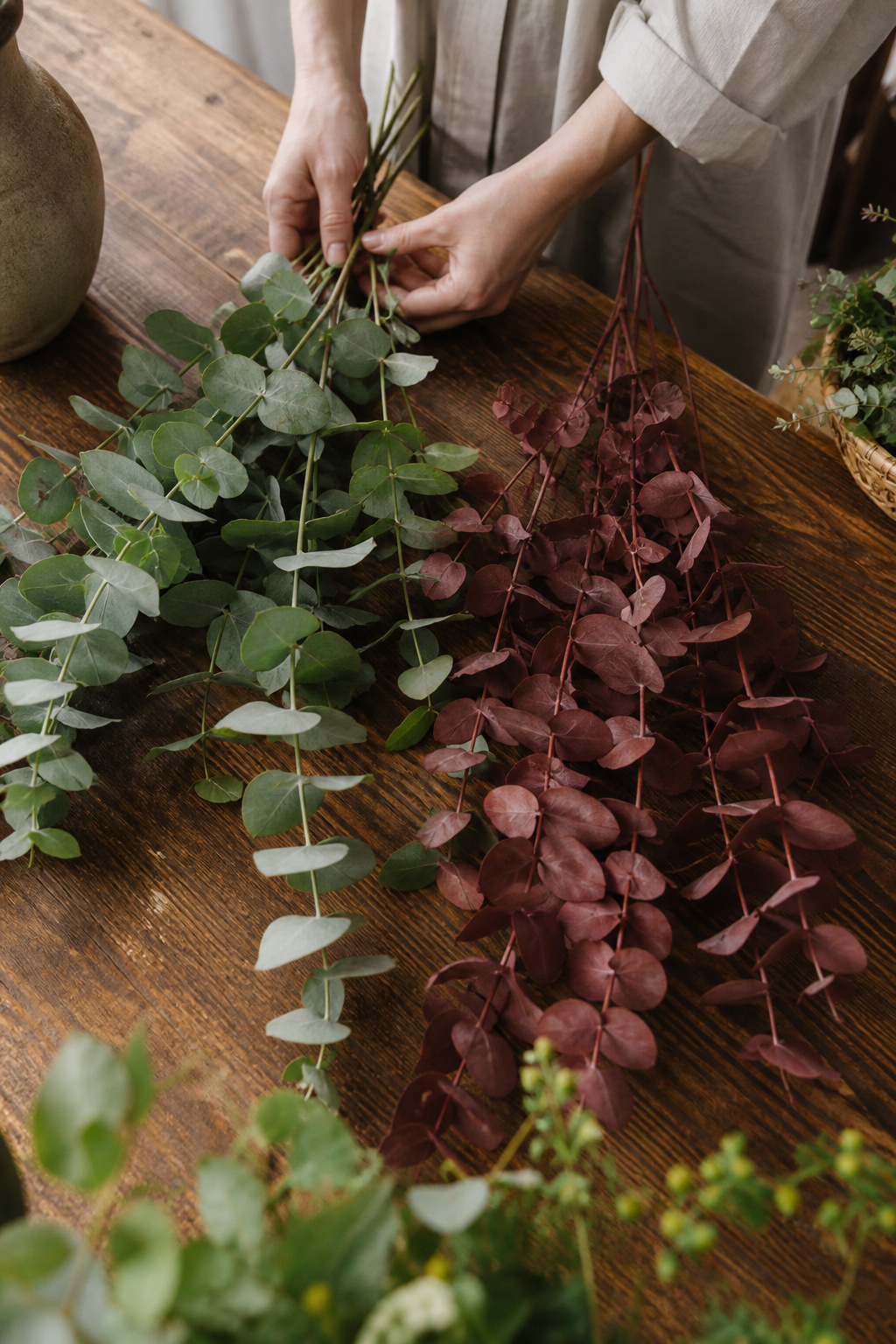 Fresh green eucalyptus stems beside dyed preserved eucalyptus stems in a warm color