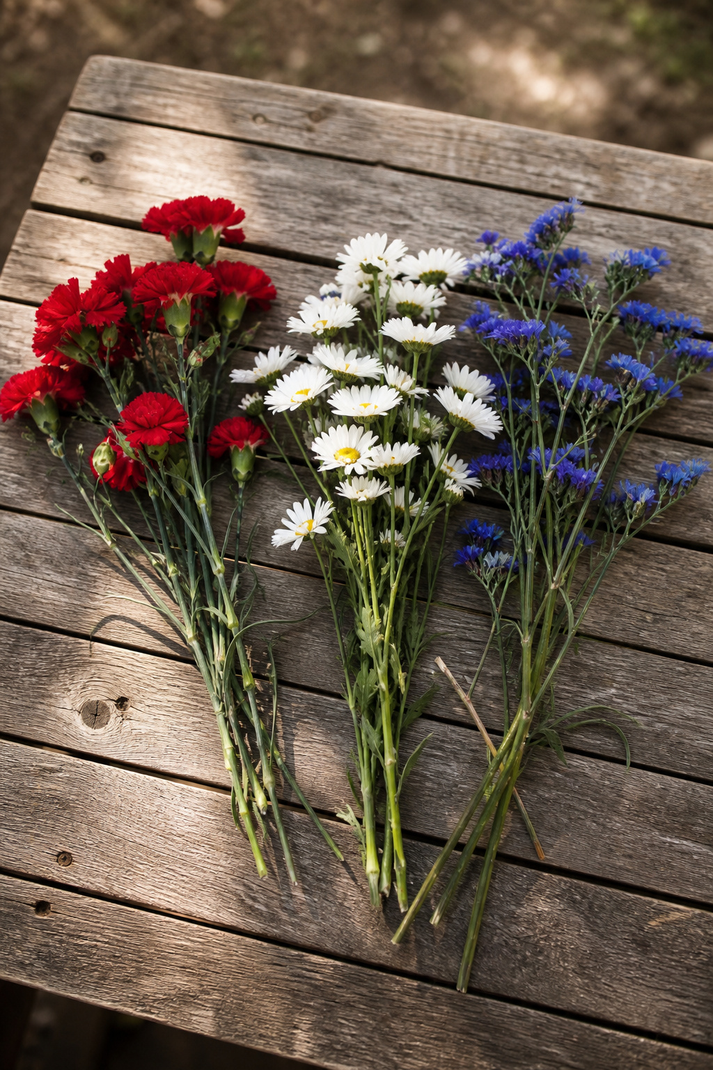 Red carnations, white daisies, and blue statice laid out separately on a wooden table